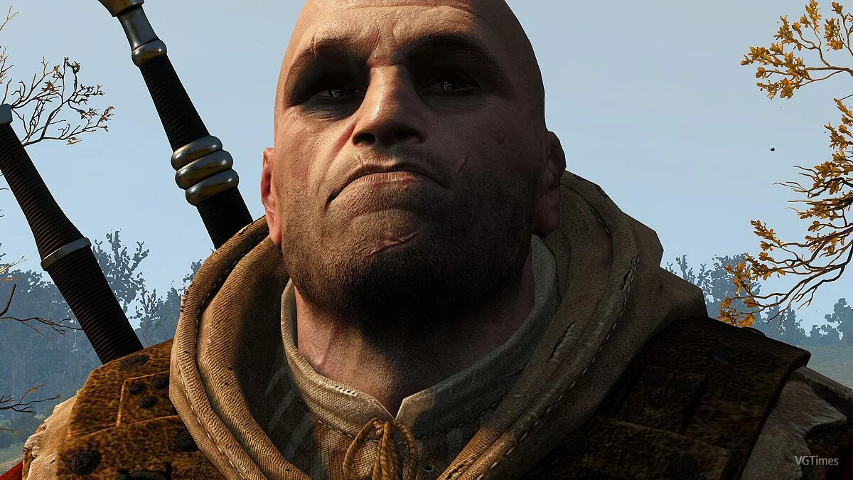 The Witcher 3: Wild Hunt — Каноничный ретекстур Ведьмаков