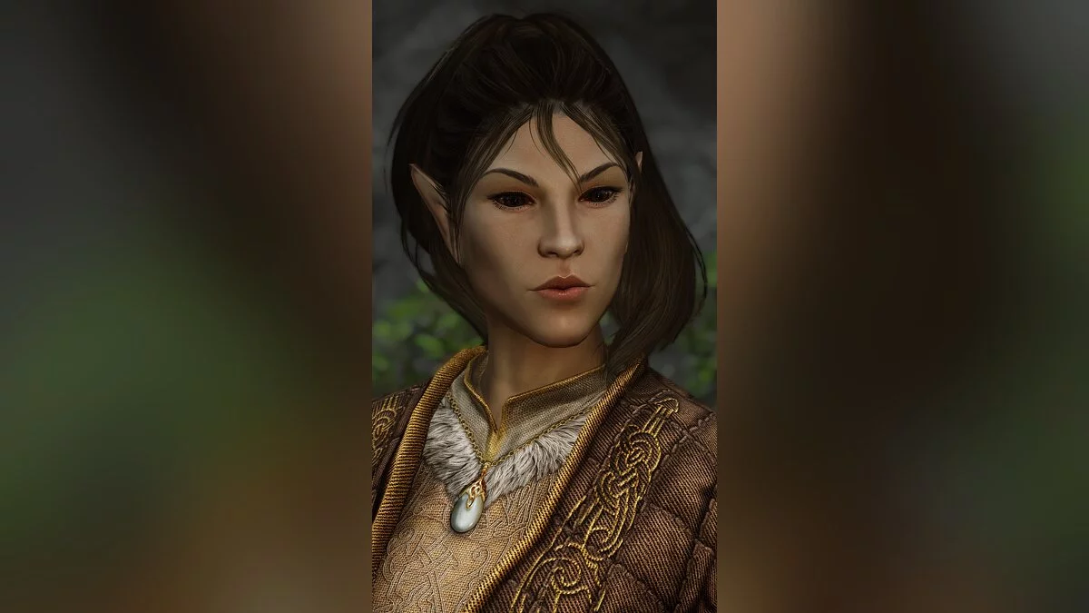 The Elder Scrolls 5: Skyrim Legendary Edition — Реалистичные NPC