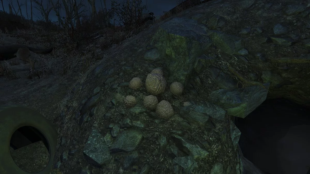 Fallout 4: Game of the Year Edition — Улучшенный мозговой гриб