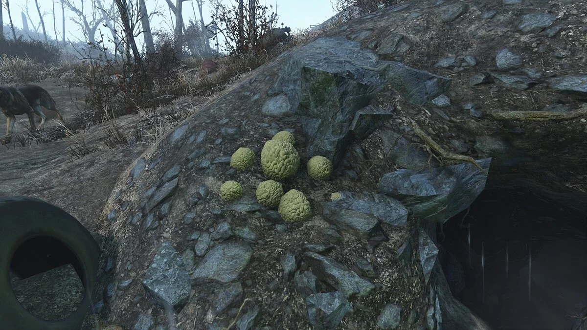 Fallout 4: Game of the Year Edition — Улучшенный мозговой гриб