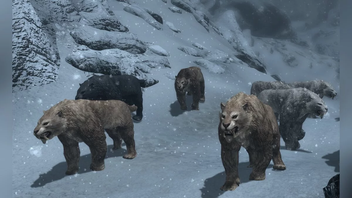 The Elder Scrolls 5: Skyrim Legendary Edition — Дикий мир