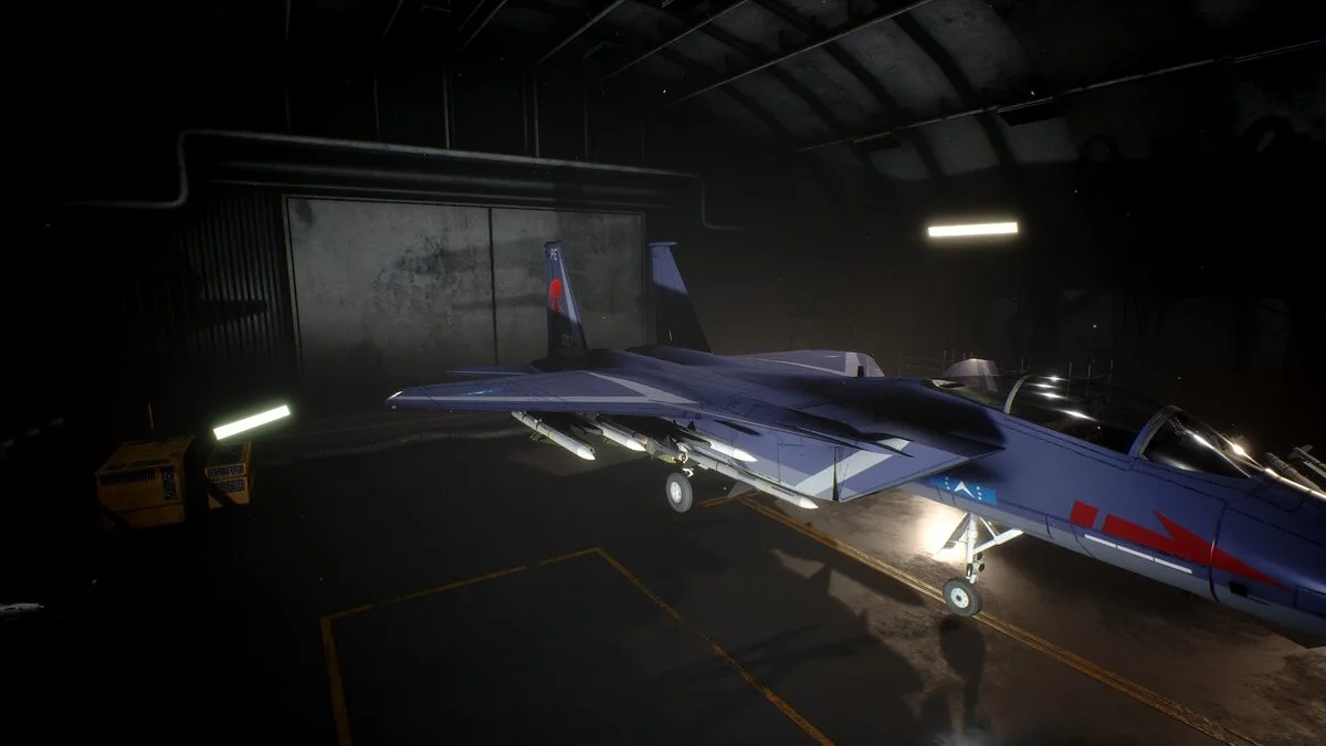 Project Wingman — FS-15 - Лицо со шрамом