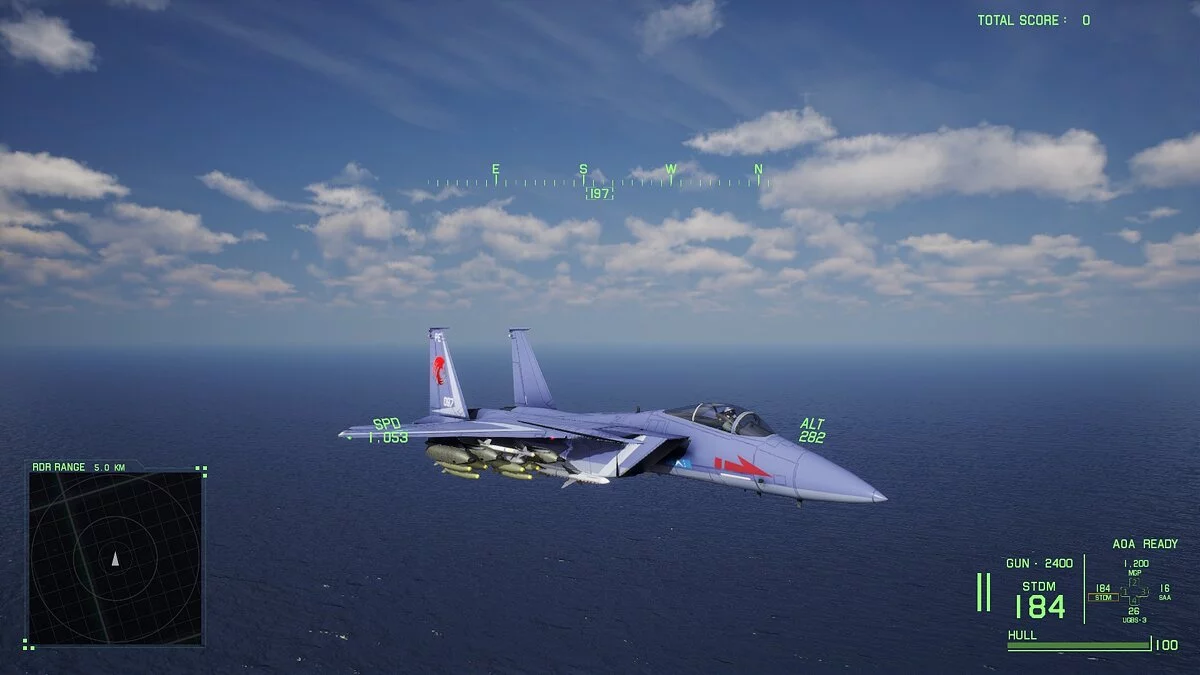 Project Wingman — FS-15 - Лицо со шрамом