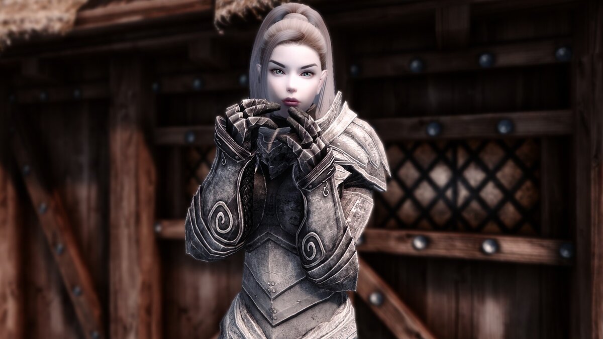 Elder Scrolls 5: Skyrim Special Edition — Компаньон снежный эльф
