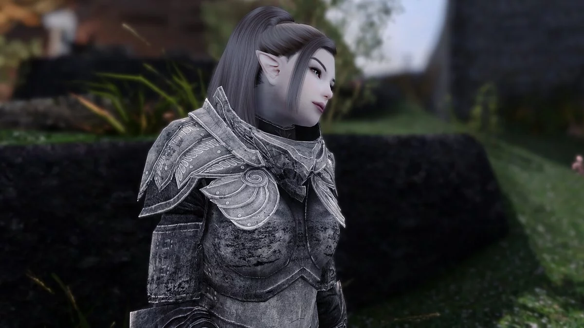 Elder Scrolls 5: Skyrim Special Edition — Компаньон снежный эльф