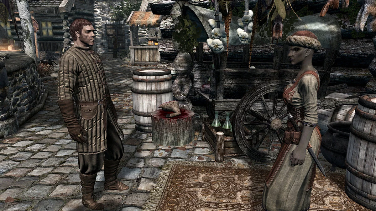 The Elder Scrolls 5: Skyrim Legendary Edition — Курьер для NPC