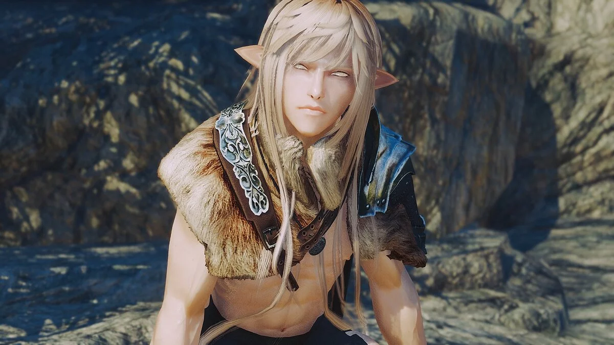 The Elder Scrolls 5: Skyrim Legendary Edition — Рен - компаньон эльф