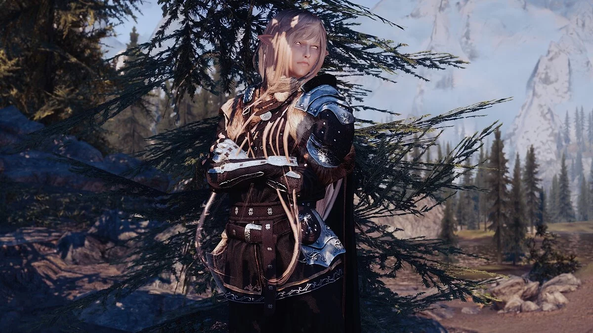 The Elder Scrolls 5: Skyrim Legendary Edition — Рен - компаньон эльф