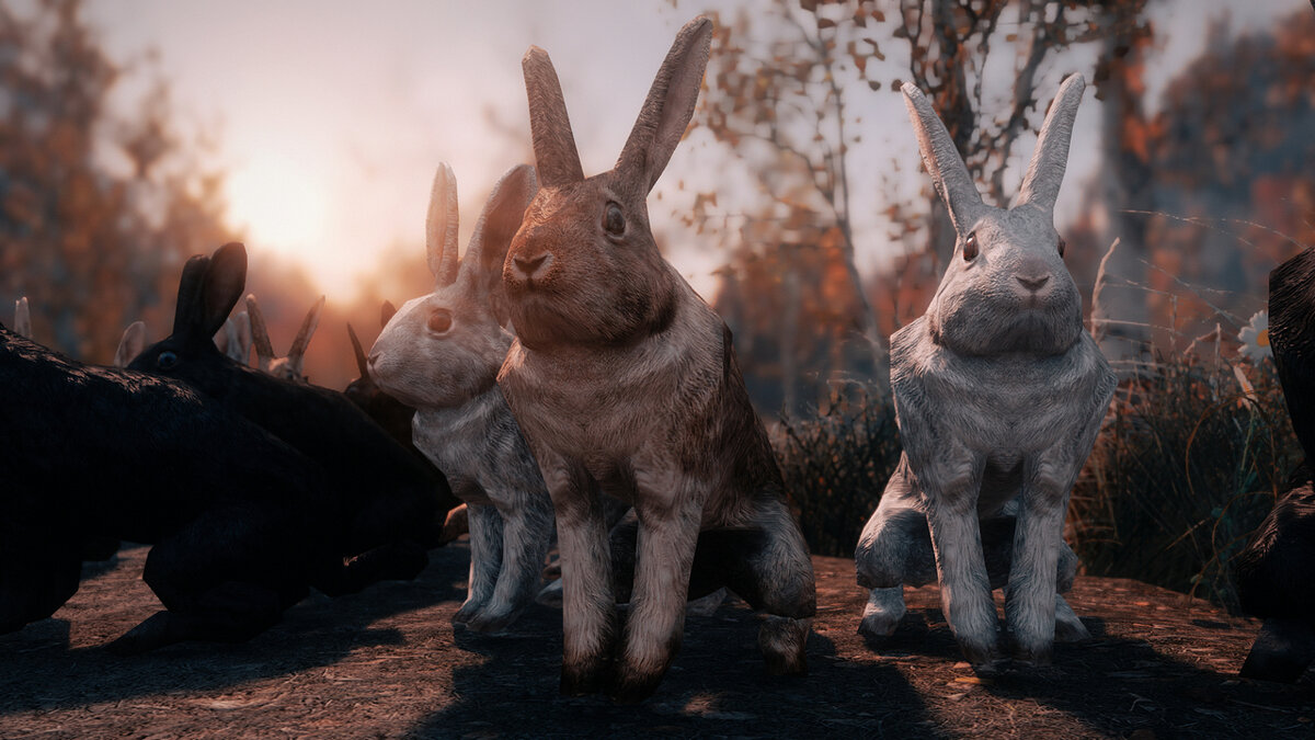 The Elder Scrolls 5: Skyrim Legendary Edition — Настоящие кролики HD