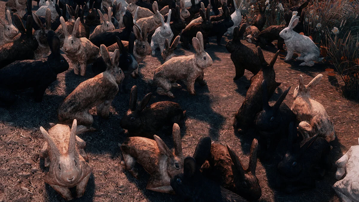 The Elder Scrolls 5: Skyrim Legendary Edition — Настоящие кролики HD