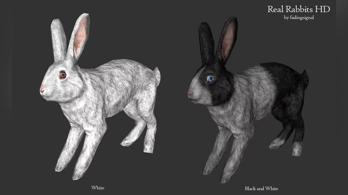 Elder Scrolls 5: Skyrim Special Edition — Настоящие кролики HD