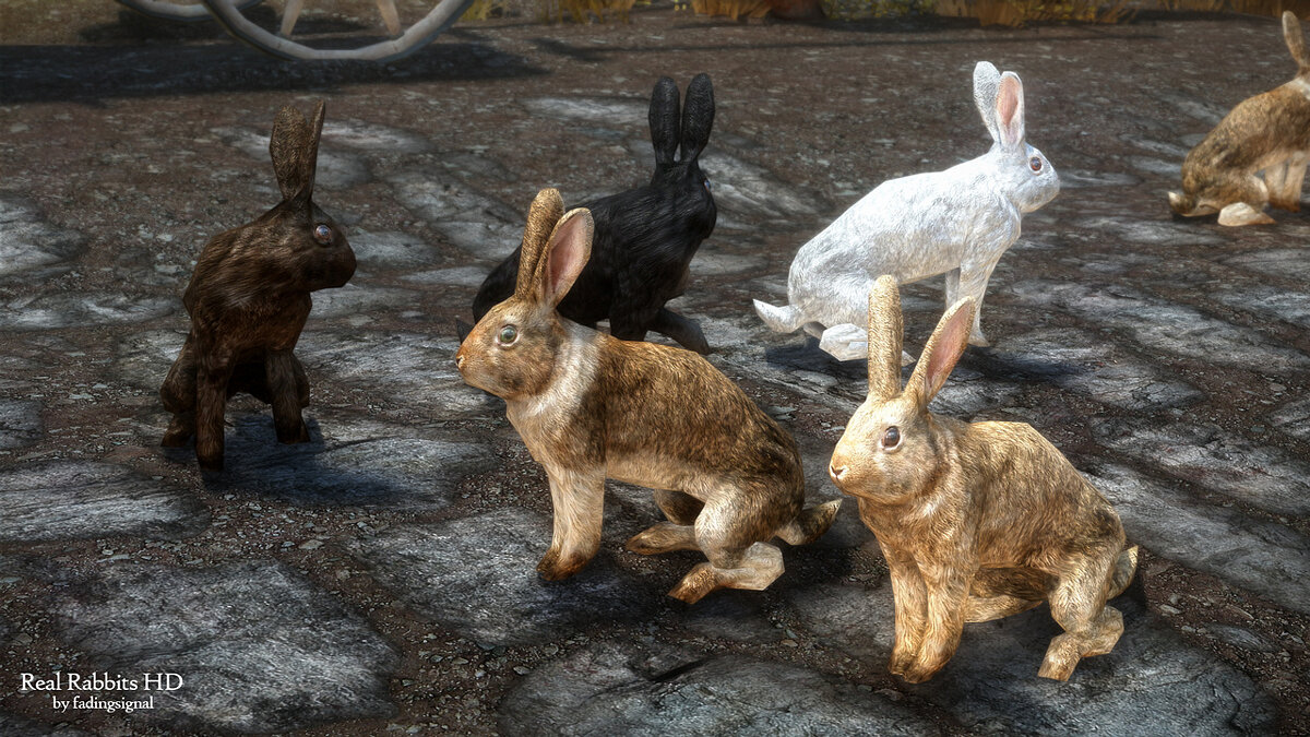 Elder Scrolls 5: Skyrim Special Edition — Настоящие кролики HD