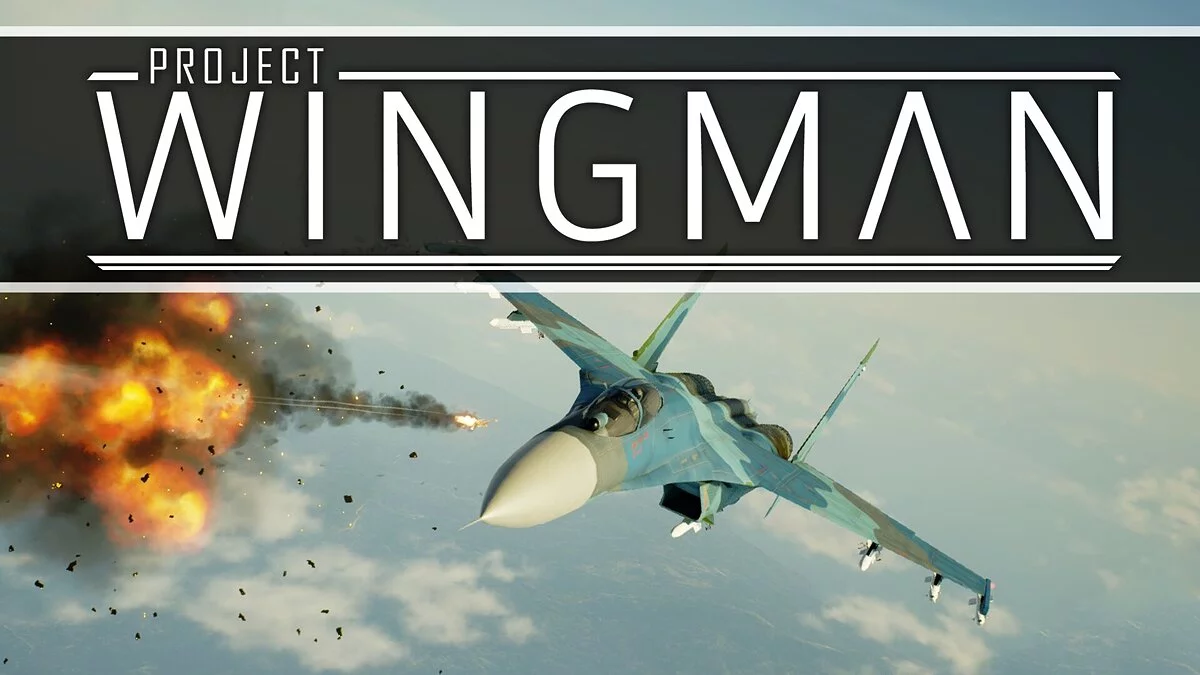 Project Wingman — Таблица для Cheat Engine [1.0.3.20.1201.3199]