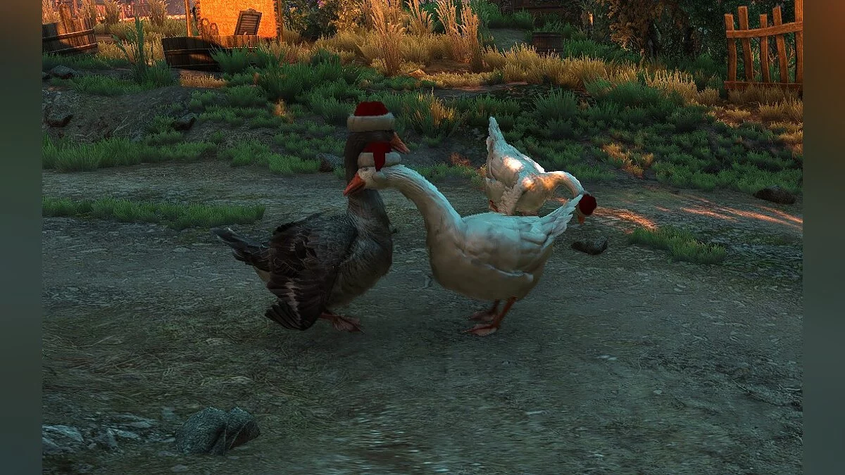 The Witcher 3: Wild Hunt - Complete Edition — Рождественские гуси