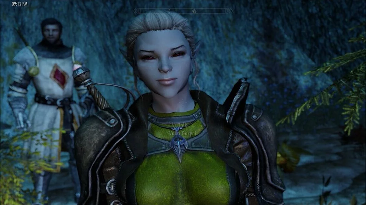 The Elder Scrolls 5: Skyrim Legendary Edition — Рейн темный эльф