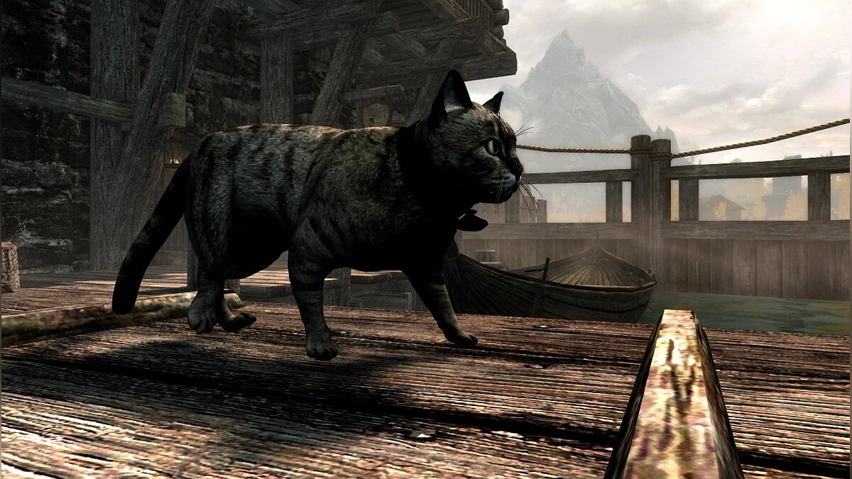 Elder Scrolls 5: Skyrim Special Edition — Домашние кошки