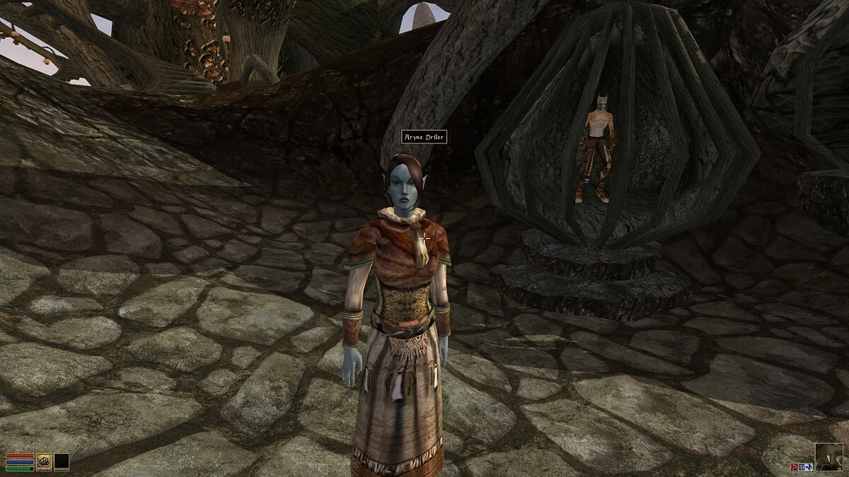 Elder Scrolls 3: Morrowind — Заселенный Вварденфелл - Телванни