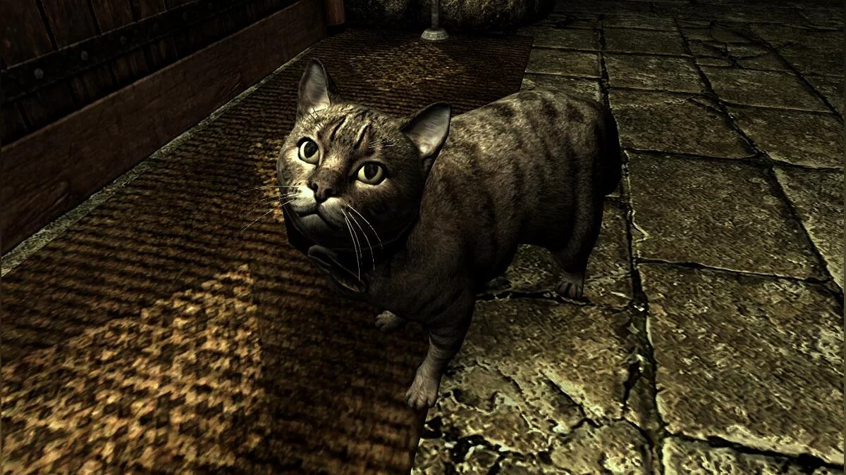 The Elder Scrolls 5: Skyrim Legendary Edition — Домашние кошки