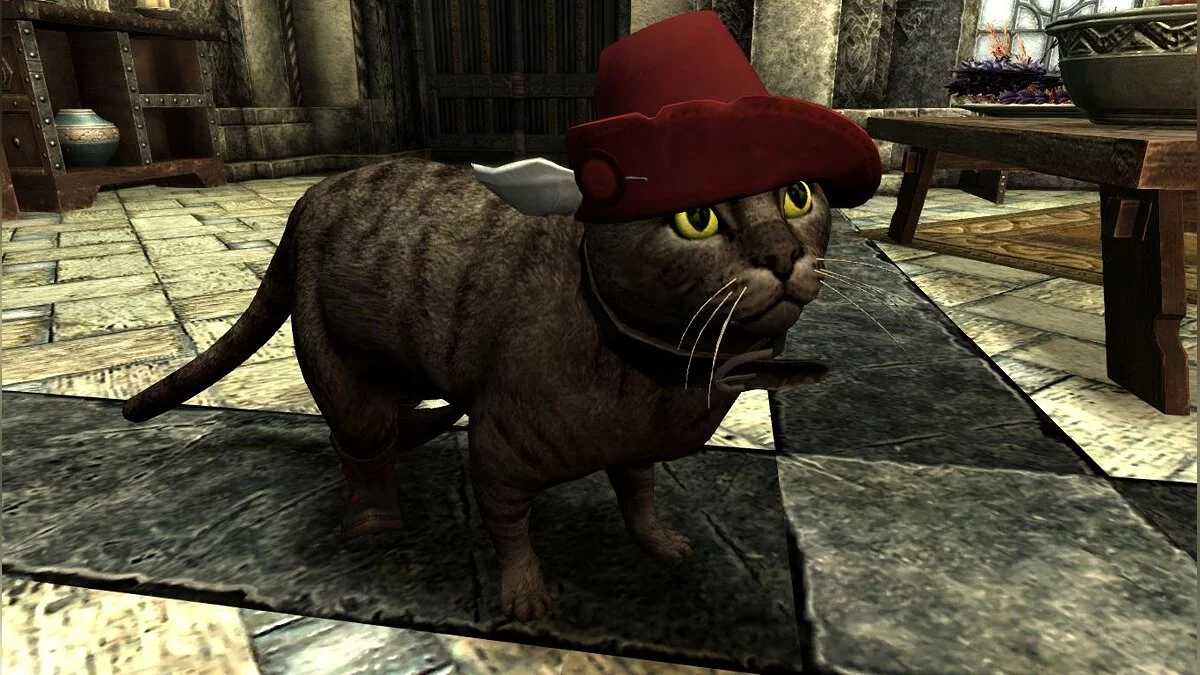 The Elder Scrolls 5: Skyrim Legendary Edition — Домашние кошки