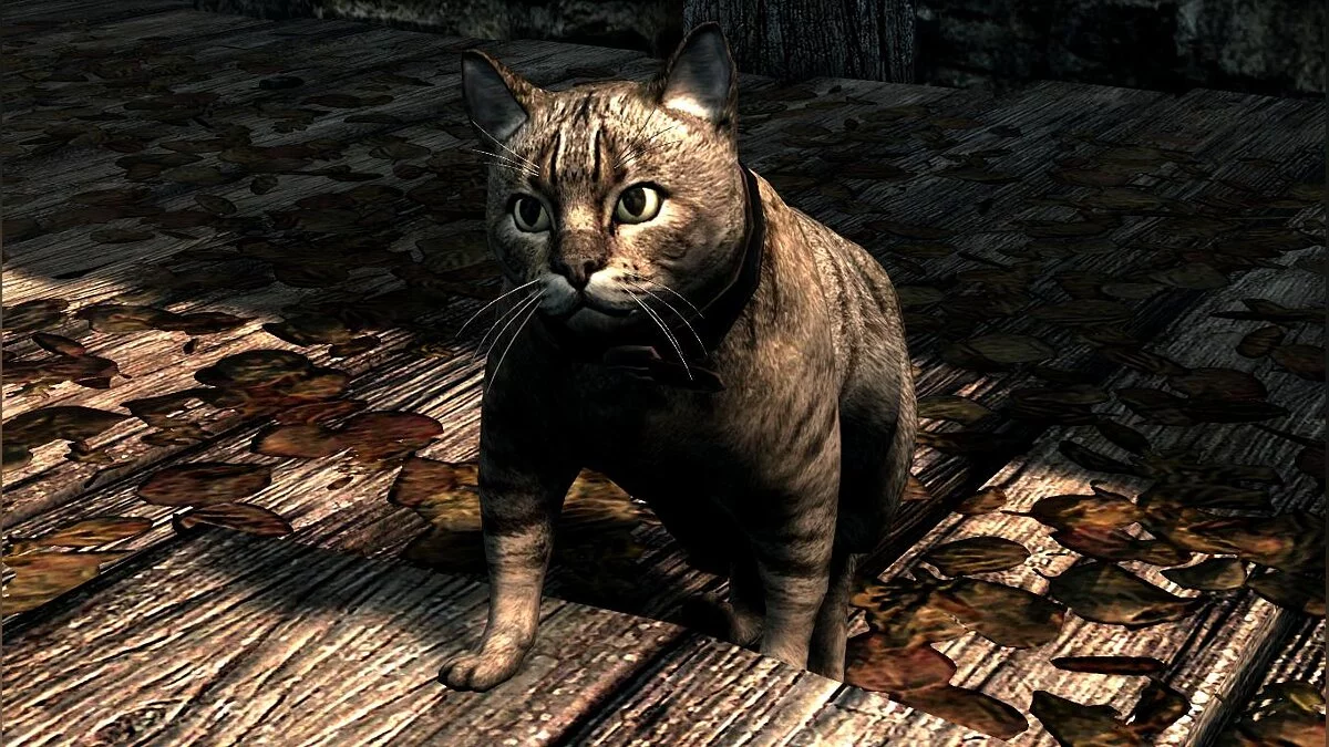 The Elder Scrolls 5: Skyrim Legendary Edition — Домашние кошки