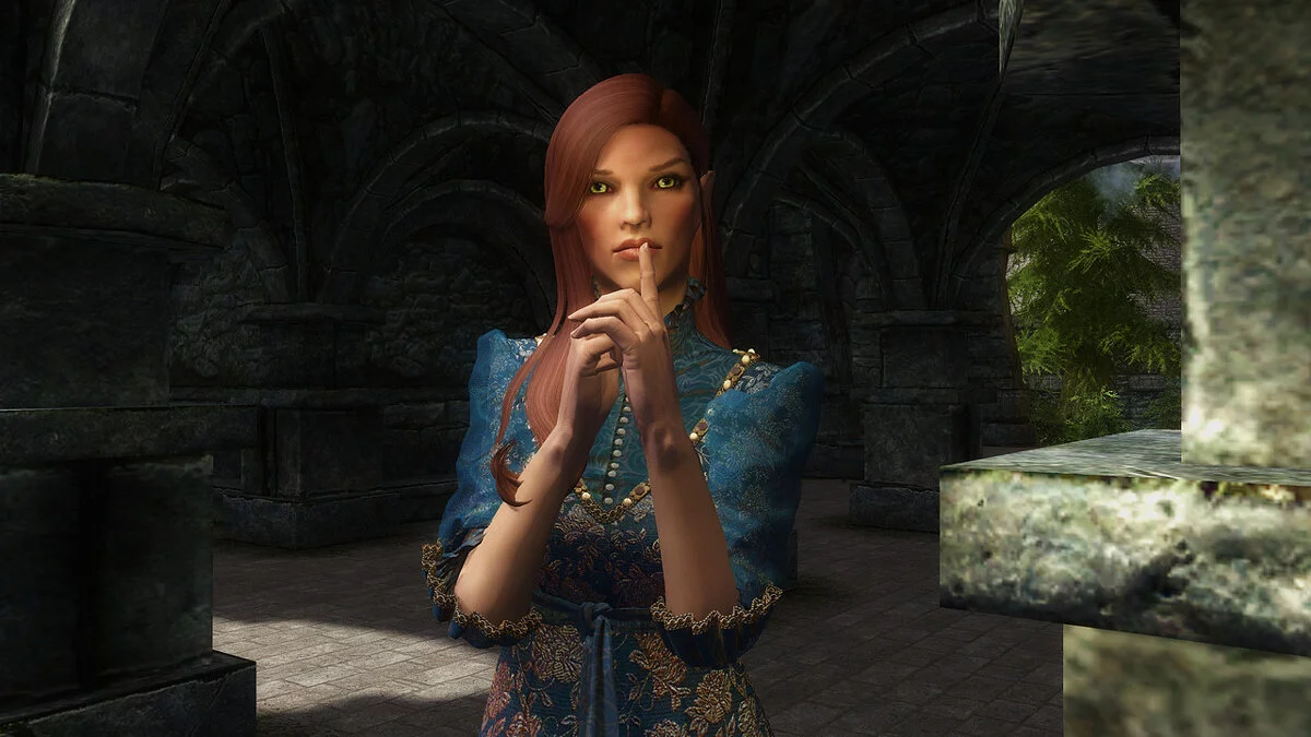 The Elder Scrolls 5: Skyrim Legendary Edition — Женщины - высшие эльфы