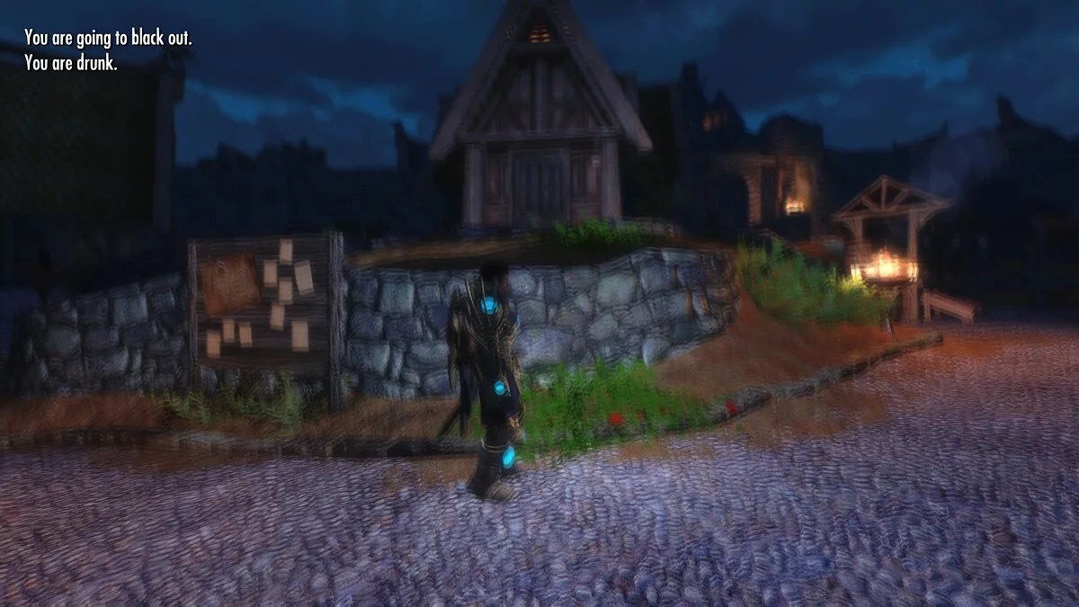 The Elder Scrolls 5: Skyrim Legendary Edition — Воздействие алкоголя и наркотиков