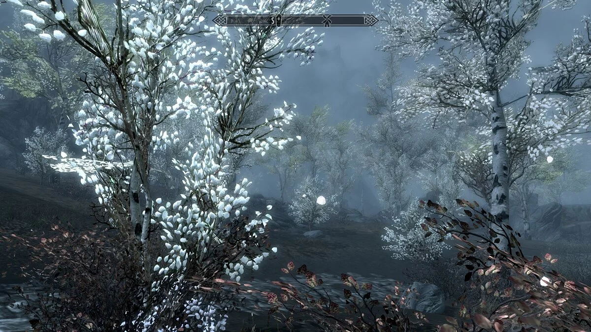 The Elder Scrolls 5: Skyrim Legendary Edition — Деревья Рифтена