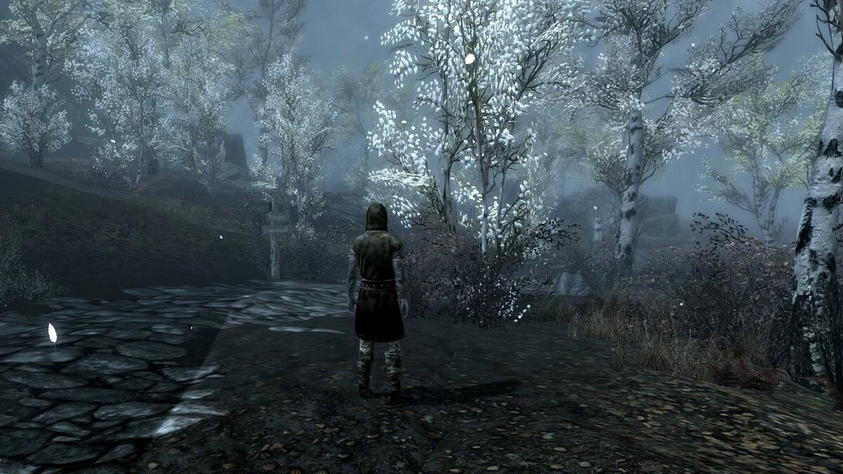 The Elder Scrolls 5: Skyrim Legendary Edition — Деревья Рифтена