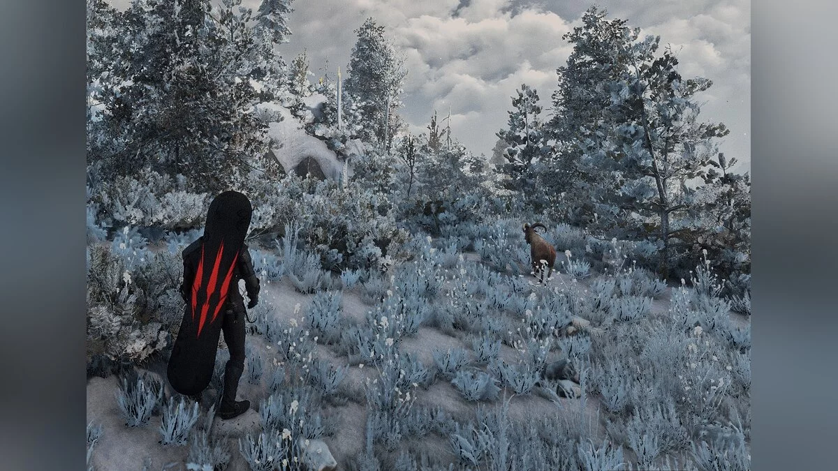 The Witcher 3: Wild Hunt - Complete Edition — Геральт сноубордист