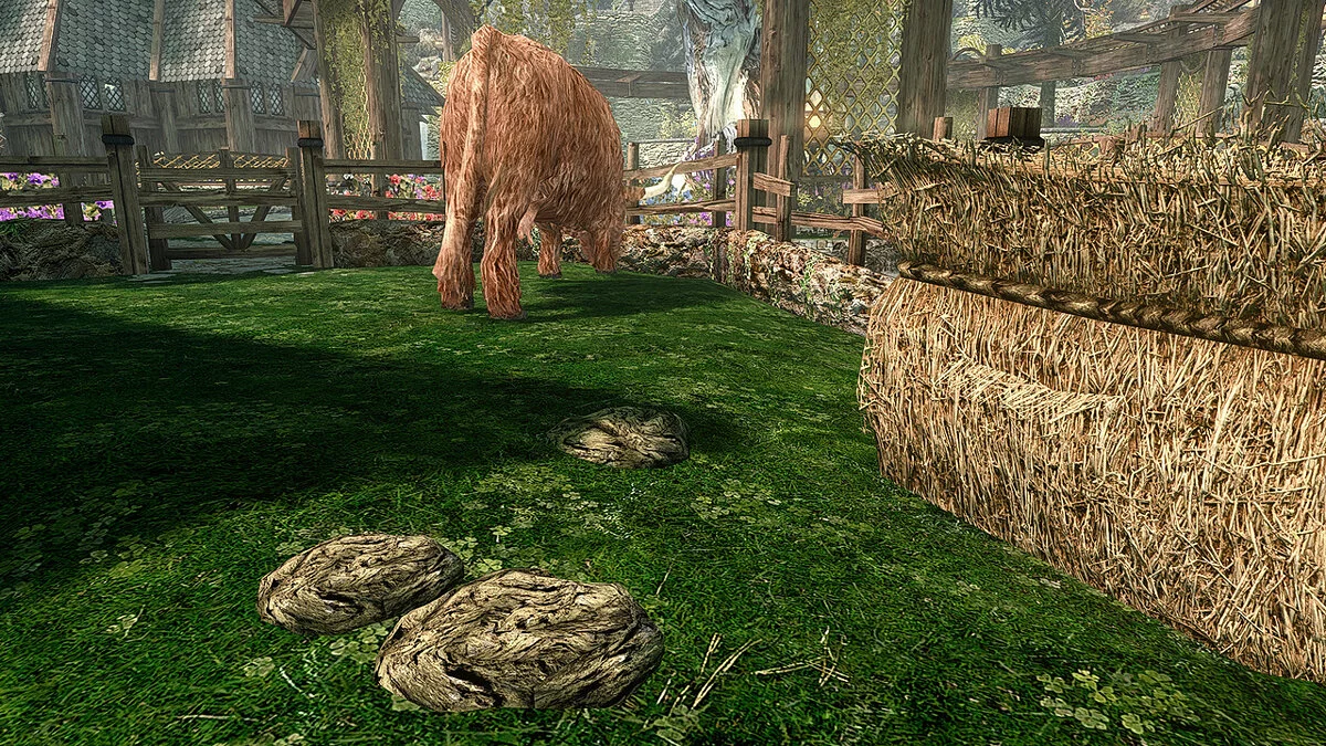 Elder Scrolls 5: Skyrim Special Edition — Коровий навоз
