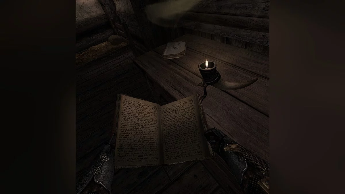 The Elder Scrolls 5: Skyrim VR — Перчатки для взаимодействия с миром игры