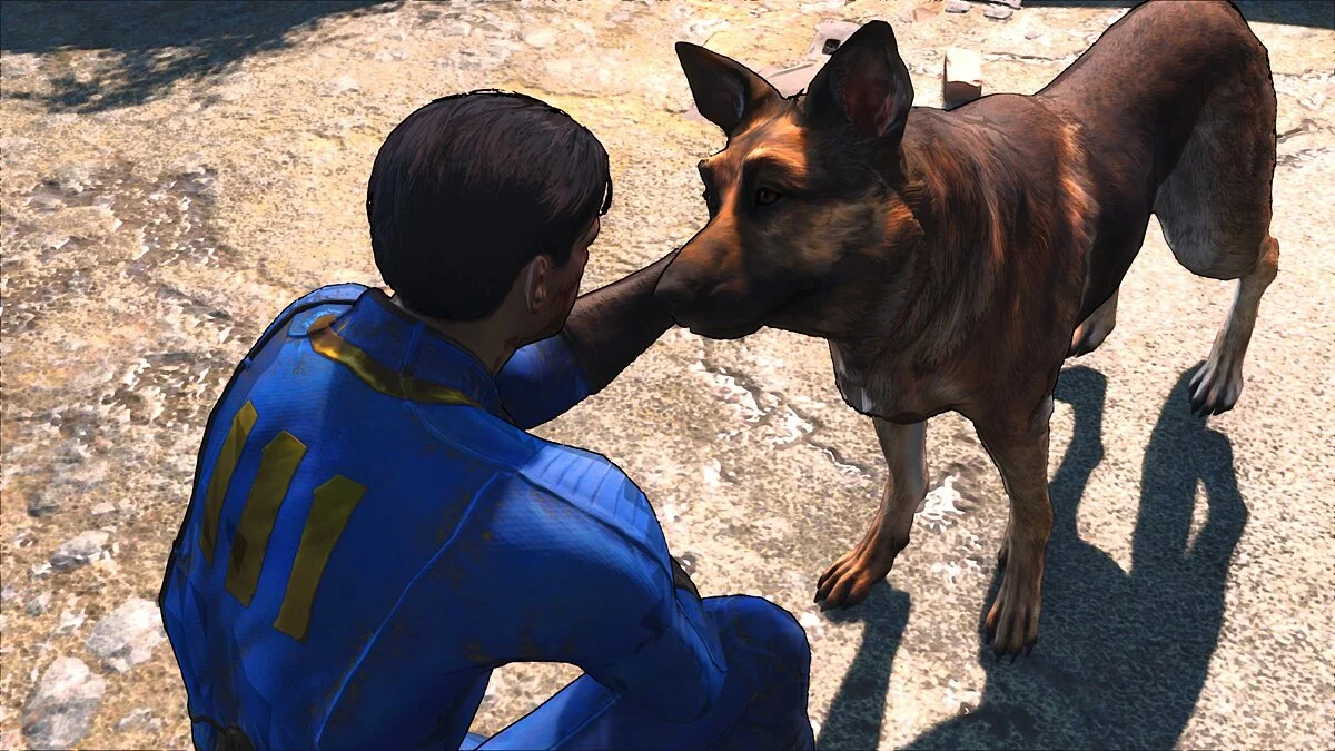 Fallout 4: Game of the Year Edition — Графика с контурами