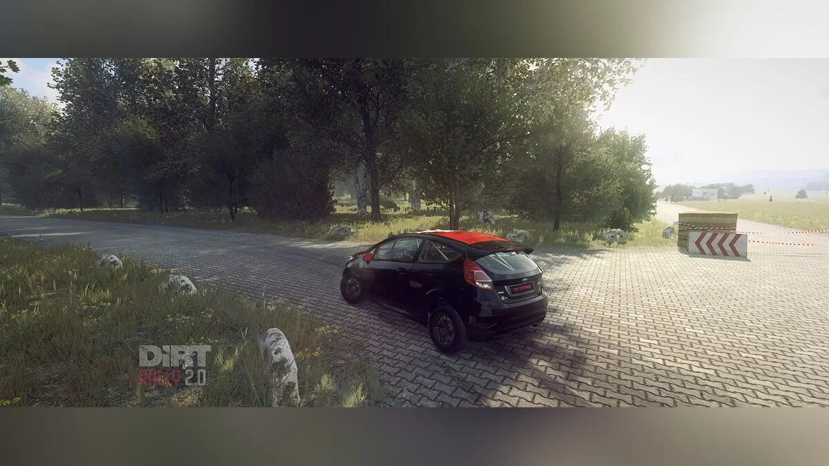DiRT Rally 2.0 — Черная раскраска для Ford Fiesta R2