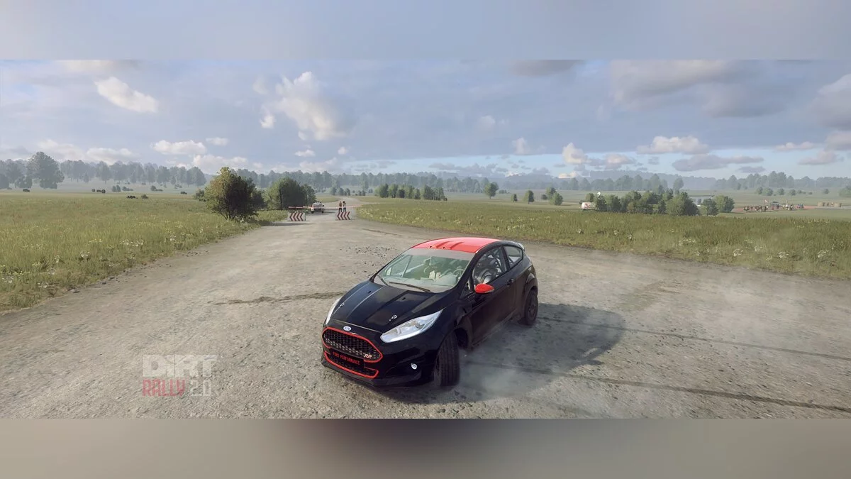 DiRT Rally 2.0 — Черная раскраска для Ford Fiesta R2