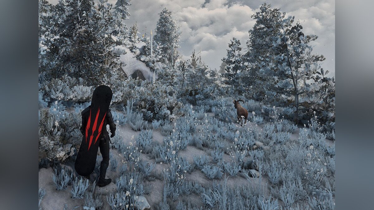 The Witcher 3: Wild Hunt — Сноуборд