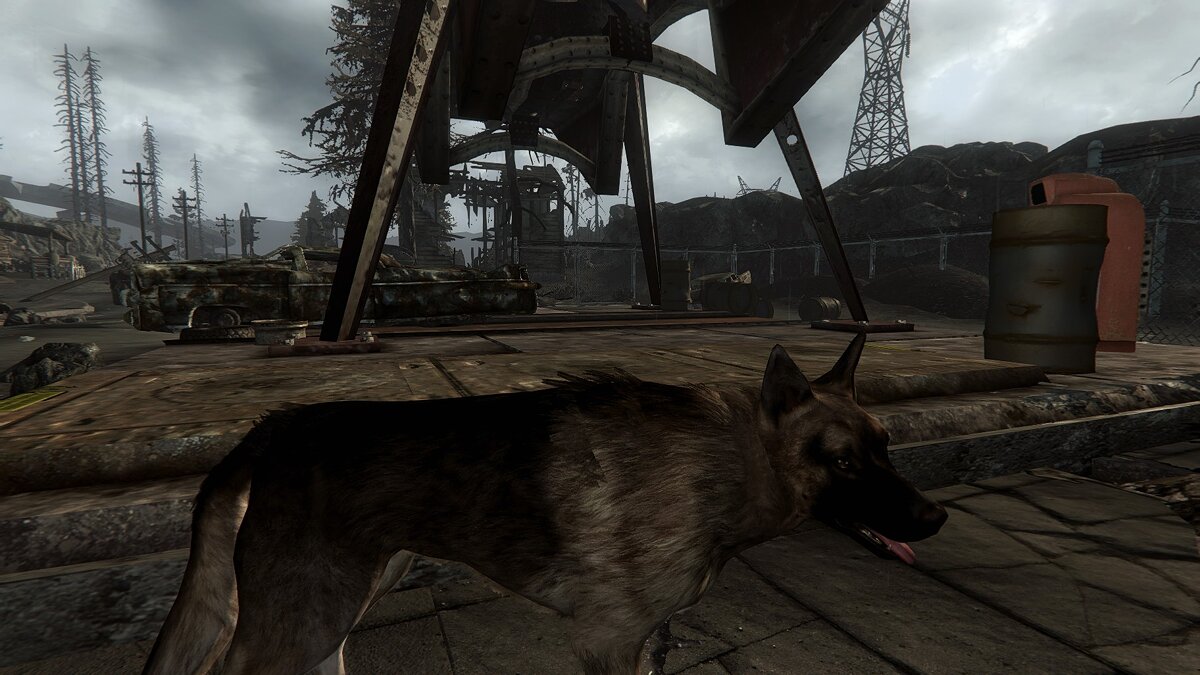 Fallout 4 good boy dogmeat фото 59