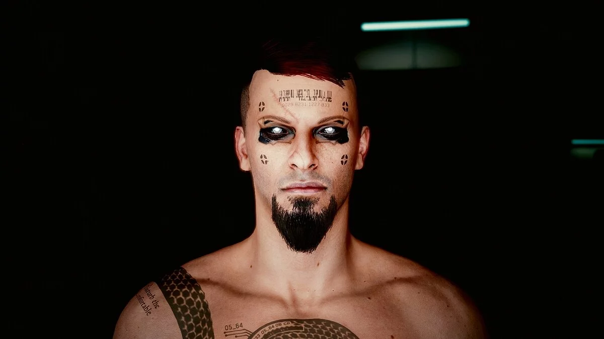 Cyberpunk 2077 — Пресет Ви корпората