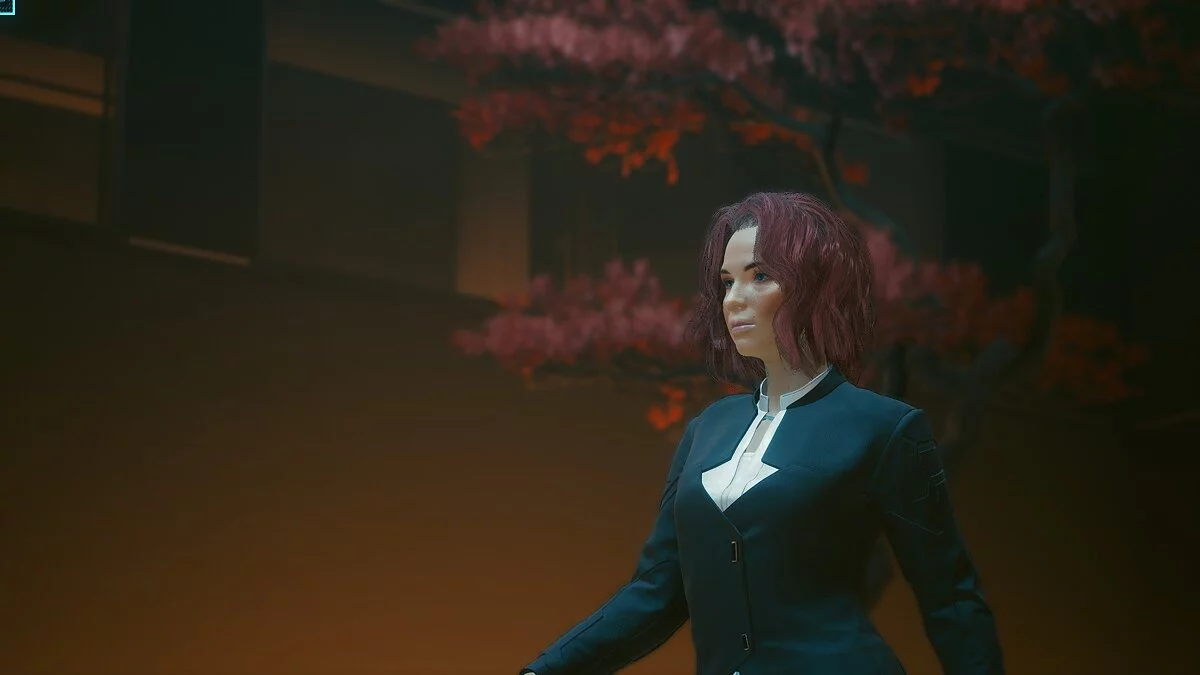 Cyberpunk 2077 — Пресет для Ви