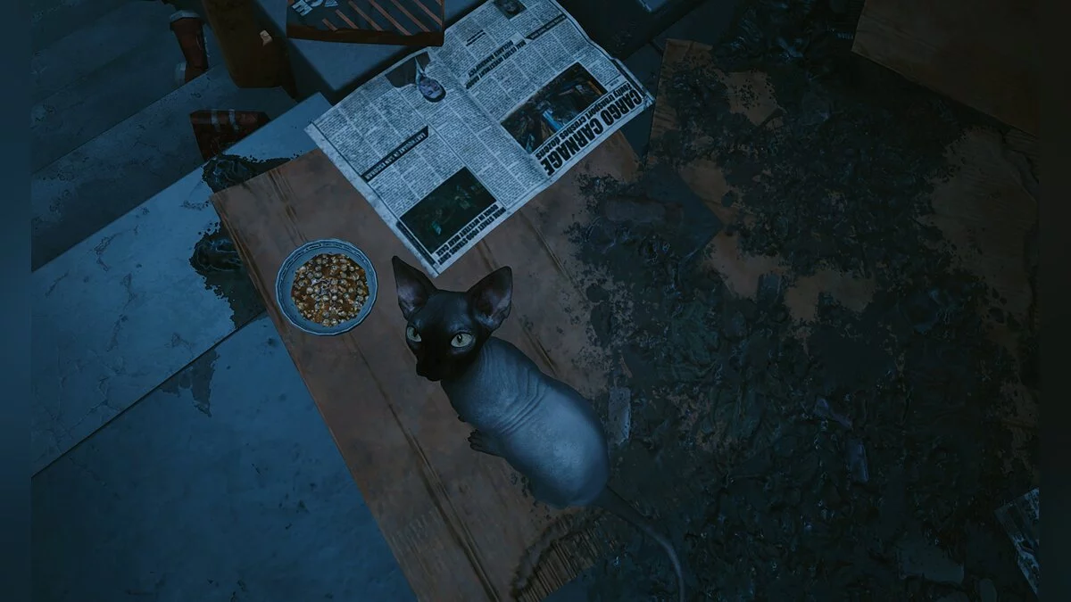 Cyberpunk 2077 — Тонкий самурайский улучшенный оттенок