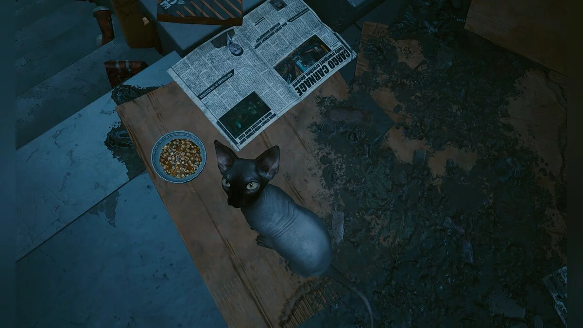 Cyberpunk 2077 — Тонкий самурайский улучшенный оттенок