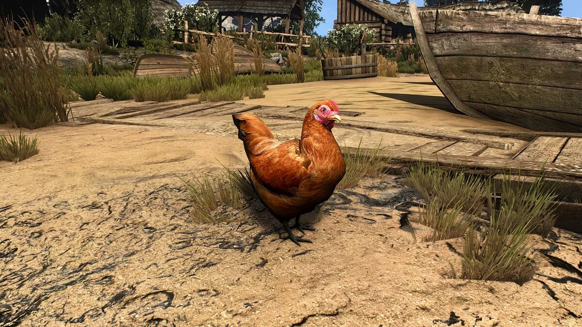 The Witcher 3: Wild Hunt - Complete Edition — Животные в HD