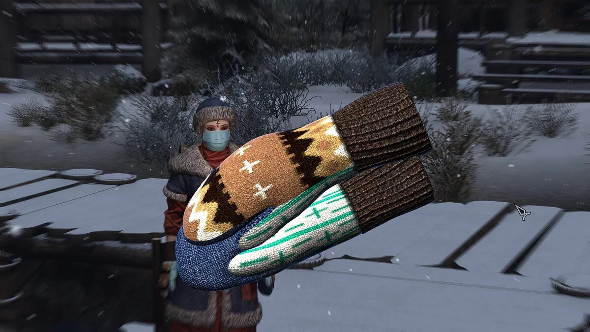 Elder Scrolls 5: Skyrim Special Edition — Медицинская маска и зимние варежки
