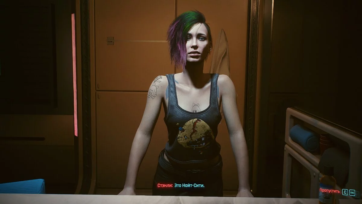 Cyberpunk 2077 — Панам Палмер и Джуди Альварес