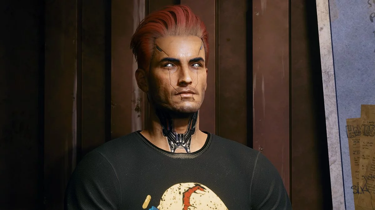 Cyberpunk 2077 — Расширенная настройка Ви