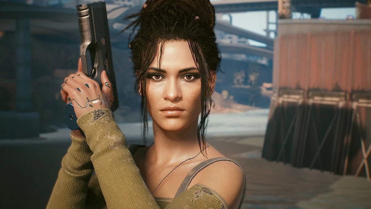 Cyberpunk 2077 — Предустановка Панам