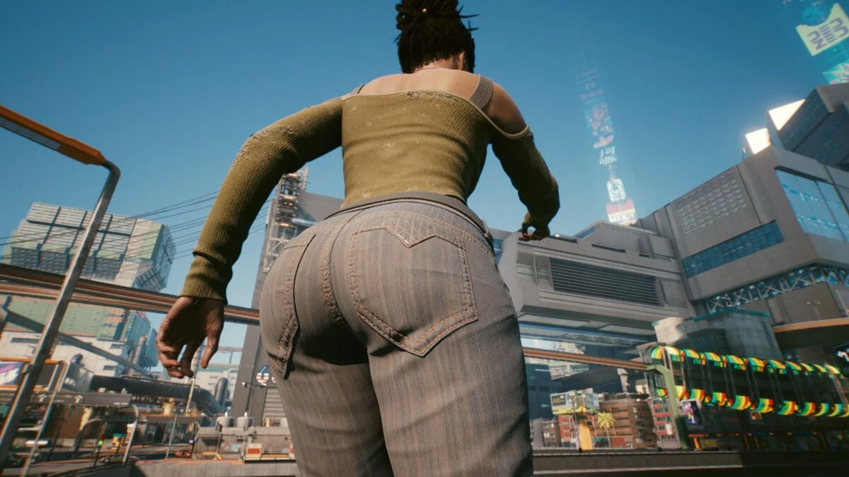 Cyberpunk 2077 — Предустановка Панам