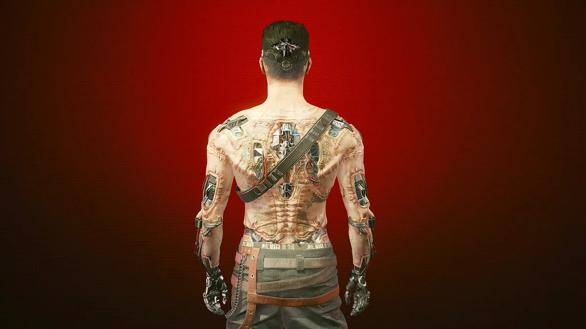 Cyberpunk 2077 — Полная экипировка Мальстрём