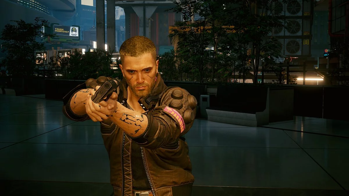 Cyberpunk 2077 — Сборник пресетов