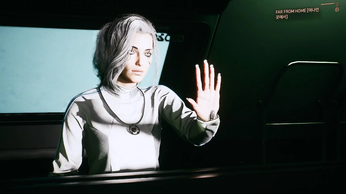 Cyberpunk 2077 — Пресет Цири и Панам