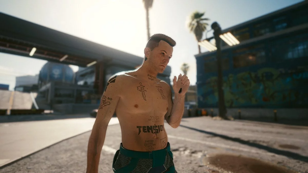 Cyberpunk 2077 — Татуировки и пресеты ниндзя (die antwoord)